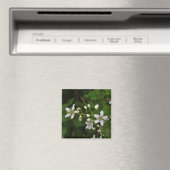 De Bloesems van Blackberry Magneet (Insitu (Vaatwasser))