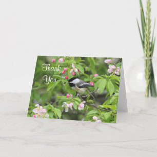 De bloesems van Chickadee en van de lente Bedankkaart