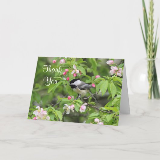 De bloesems van Chickadee en van de lente Bedankkaart (Voorkant)