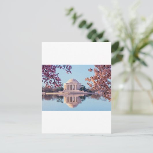 De Bloesems van de kers in Washington DC Briefkaart (Staand voorkant)