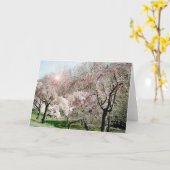 De Bloesems van de kers Kaart (Gele Bloem)