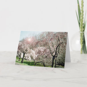 De Bloesems van de kers Kaart