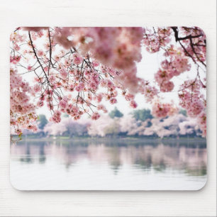 De Bloesems van de kers Muismat