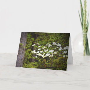 De Bloesems van de kornoelje, kaart