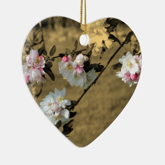 De Bloesems van de lente op Sepia het Ornament van (Rechts)