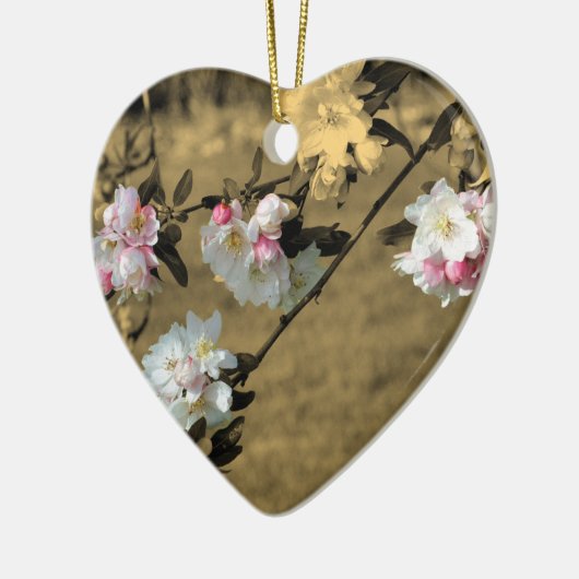 De Bloesems van de lente op Sepia het Ornament van (Links)