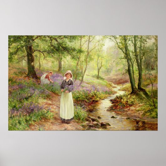 De Bluebell Glade Poster (Voorkant)