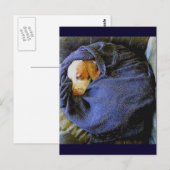 De Bo Ball Briefkaart (Voorkant / Achterkant)