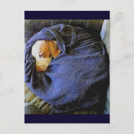 De Bo Ball Briefkaart (Voorkant)