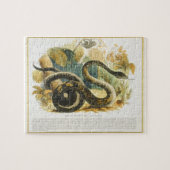 De Boa Constrictor, educatieve illustratie pub. Legpuzzel (Horizontaal)
