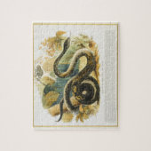 De Boa Constrictor, educatieve illustratie pub. Legpuzzel (Verticaal)