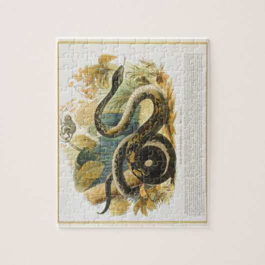 De Boa Constrictor, educatieve illustratie pub. Legpuzzel (Verticaal)