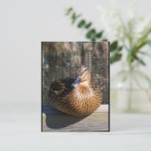 De Boardwalk Beauty Briefkaart (Staand voorkant)