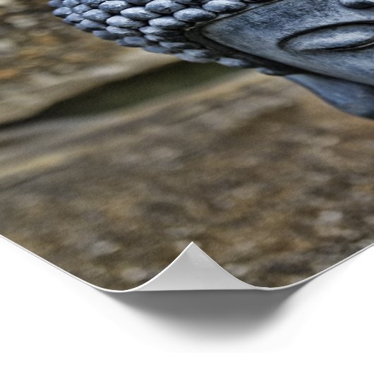 De Boeddha Poster (Hoek)