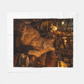 "De Boekwinkelkat  Fleece Deken (Voorkant (Horizontaal))