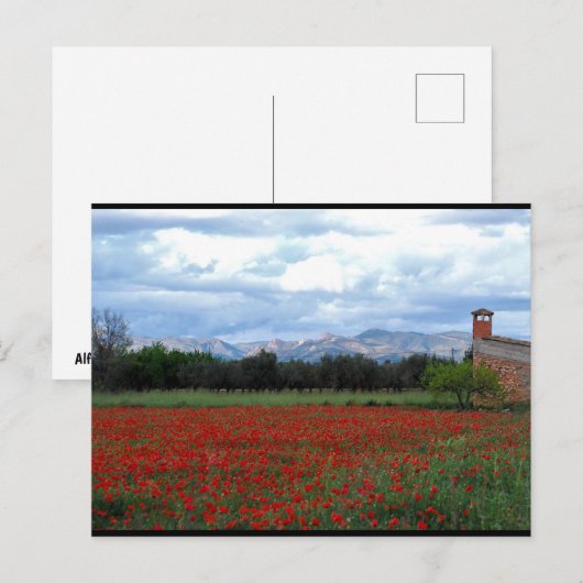 De boerderij in het klaprozenveld briefkaart (Voorkant / Achterkant)