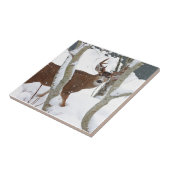 De Bok van herten in Sneeuw in de Winter Tegeltje (Zijkant)