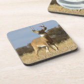 De Bok van Whitetail van de herfst Bier Onderzetter (Linkerzijde)