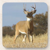 De Bok van Whitetail van de herfst Bier Onderzetter (Voorkant)