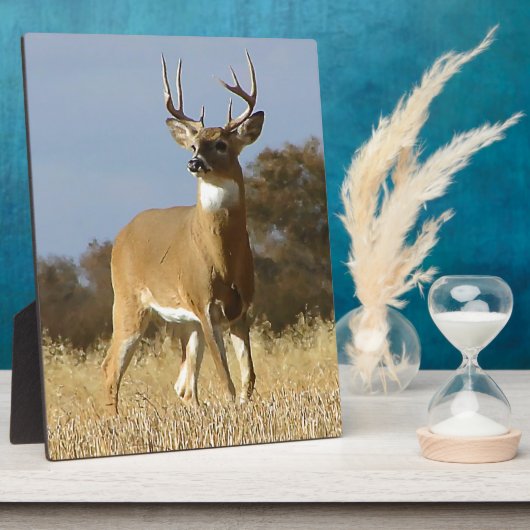 De Bok van Whitetail van de herfst Fotoplaat (Zijkant)