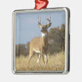 De Bok van Whitetail van de herfst Metalen Ornament (Links)