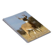 De Bok van Whitetail van de herfst Notitieboek (Rechterzijde)