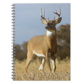 De Bok van Whitetail van de herfst Notitieboek (Voorkant)