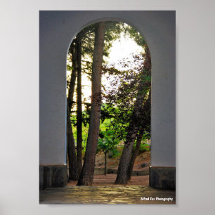 De bomen door de boog poster