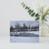 De bomen hangen in het water in de winter briefkaart (Staand voorkant)