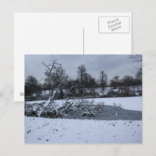 De bomen hangen in het water in de winter briefkaart (Voorkant / Achterkant)