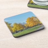 De bomen harde plastic onderzetters van de herfst (Linkerzijde)