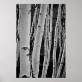 De bomen hebben ogen poster (Voorkant)