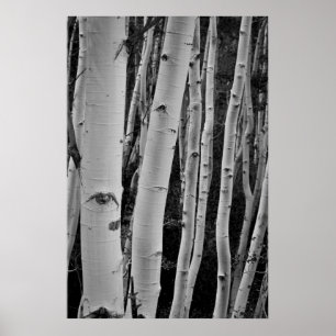 De bomen hebben ogen poster