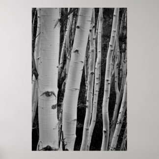 De bomen hebben ogen poster