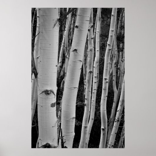 De bomen hebben ogen poster (Voorkant)