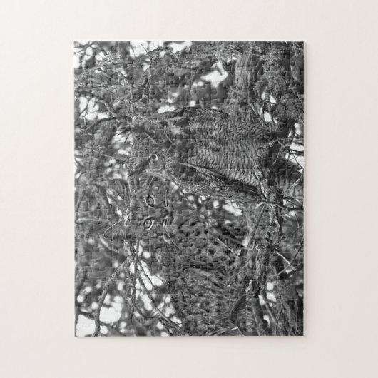 De bomen hebben Oyes Bobcat en Owl Jigzaag Puzzle Legpuzzel (Verticaal)