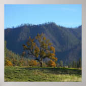 De bomen roepen me...... poster (Voorkant)