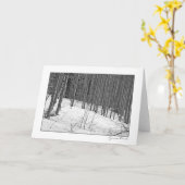 De Bomen van de berk in sneeuw-Zwarte & Wit Kaart (Gele Bloem)