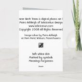 De Bomen van de Berk van de winter Kaart (Achterkant)