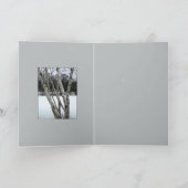 De Bomen van de Berk van de winter Kaart (Binnen)