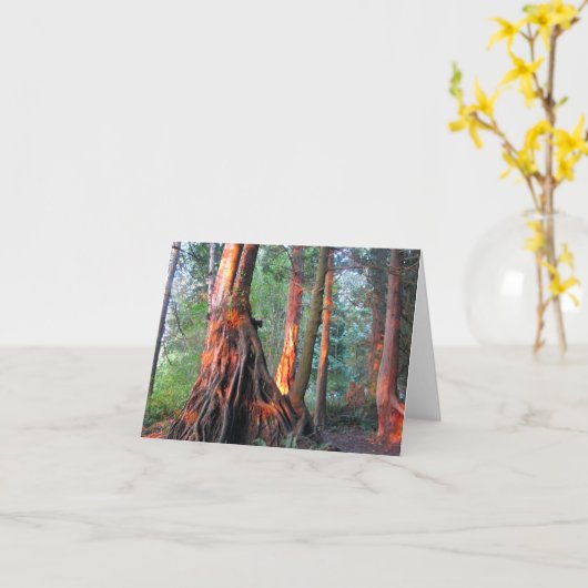 De Bomen van de brand Kaart (Gele Bloem)