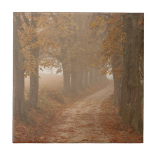 De Bomen van de herfst Tegeltje