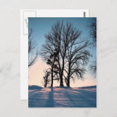 De bomen van de winter op blauwe hemelachtergrond briefkaart (Voorkant / Achterkant)