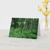 De bomen van de zilverberk en varens, Bos Sherwood Kaart (Gele Bloem)