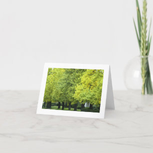 De Bomen van Ginkgo op het Ave van het Hoogland, Kaart