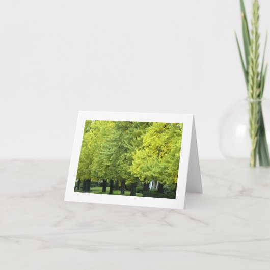 De Bomen van Ginkgo op het Ave van het Hoogland, Kaart (Voorkant)