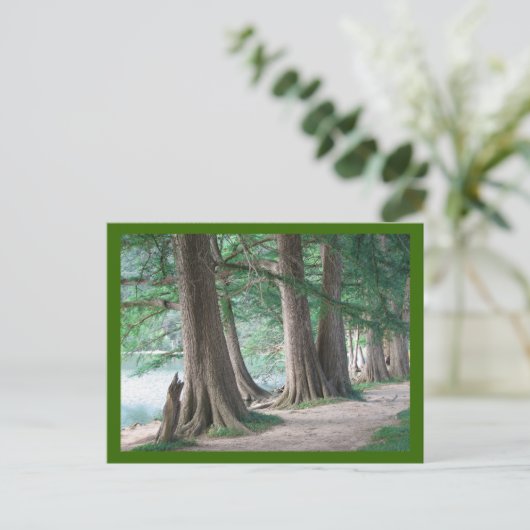 De bomen van gisteren, briefkaart (Staand voorkant)