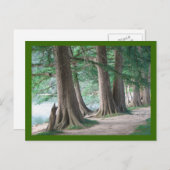 De bomen van gisteren, briefkaart (Voorkant / Achterkant)