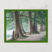 De bomen van gisteren, briefkaart (Voorkant)