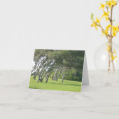 De Bomen van Live Oak Kaart (Gele Bloem)